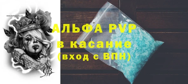 индика Алексин