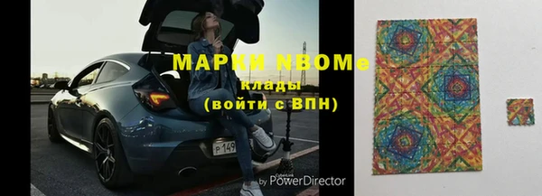 индика Алексин