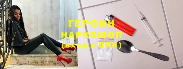 индика Алексин