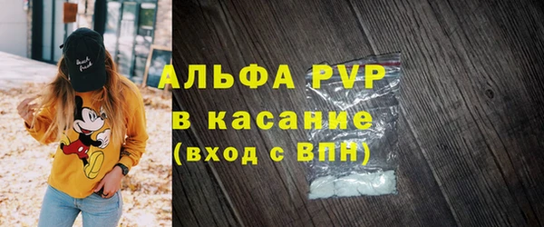 индика Алексин